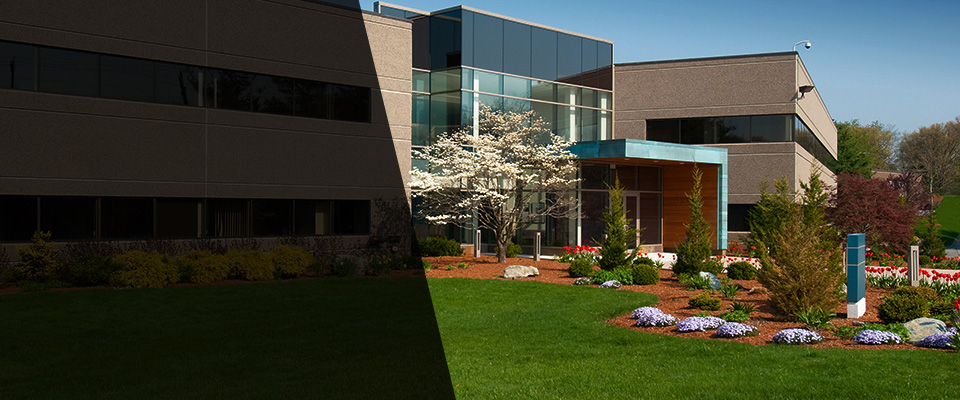 Carpentersville Landscapers