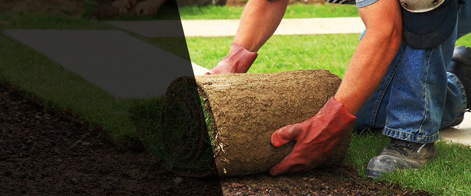 Carpentersville Landscapers